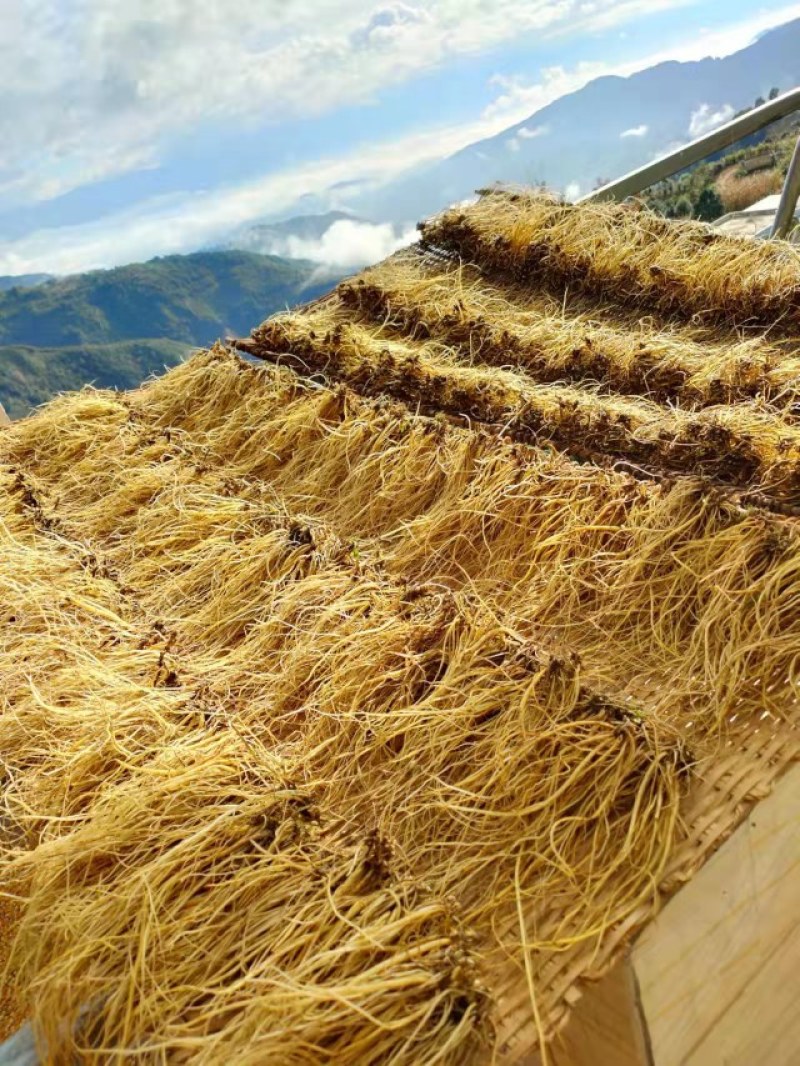 龙胆草