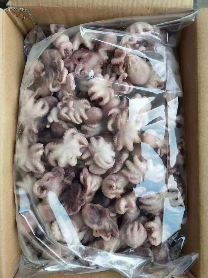 八爪鱼章鱼球熟冻八爪鱼海鱼，鲜活速冻