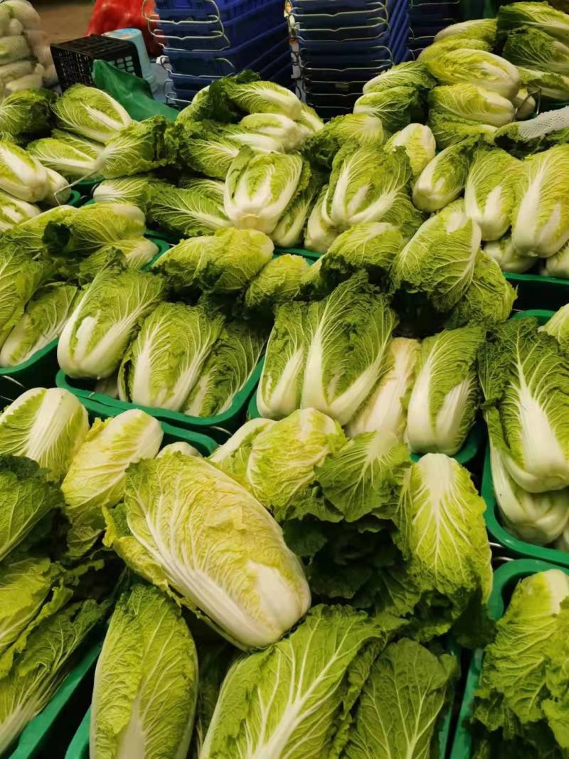 白菜大量供应、质量保证、支持各种包装、欢迎采购