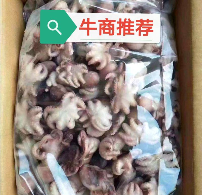 八爪鱼章鱼球熟冻八爪鱼海鱼，鲜活速冻