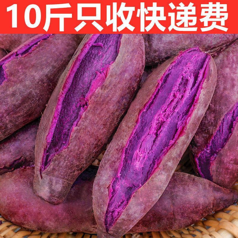 【紫薯】新鲜沙地紫薯番薯粉糯香甜板栗红薯地瓜蜜薯一件代发