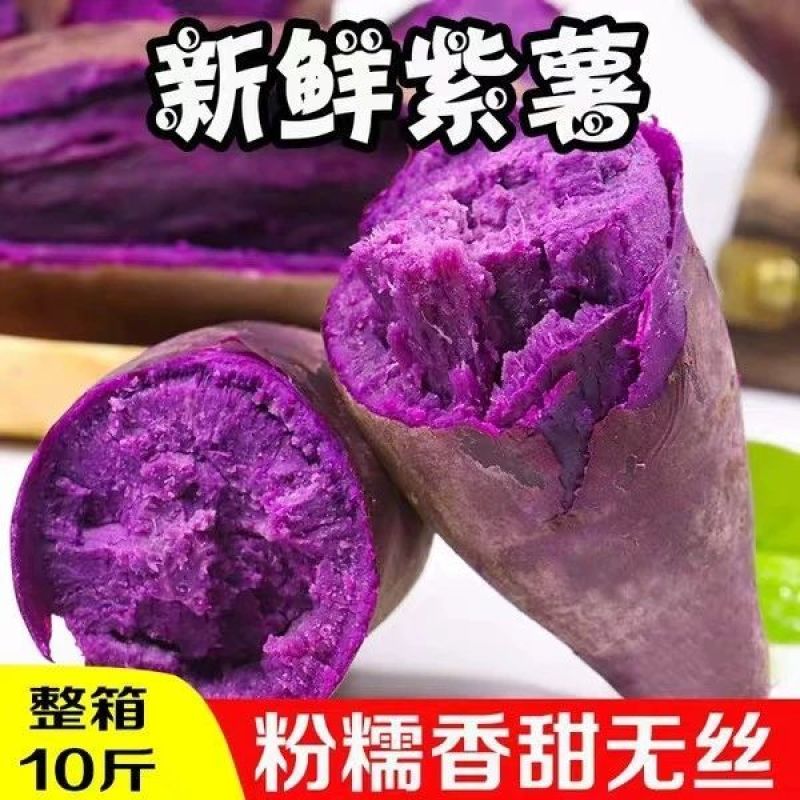【紫薯】新鲜沙地紫薯番薯粉糯香甜板栗红薯地瓜蜜薯一件代发