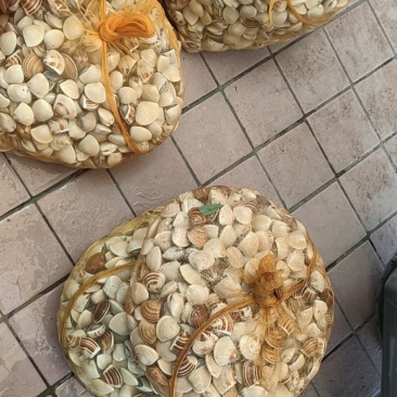 本地沙白