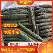 【精品黄瓜】密刺黄瓜，顶花带刺，色好，条直，大量上市，