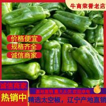【精品甜椒】辽宁太空椒，青椒，甜椒一年四季都有货源，