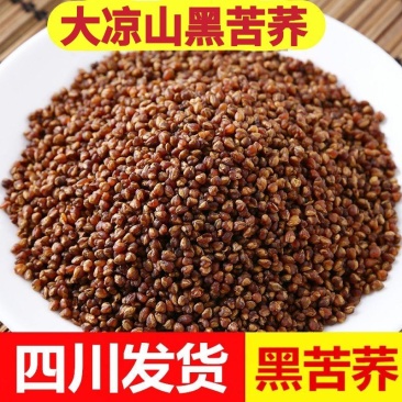 【黑苦荞】大凉山熟黑苦荞大胚芽整粒苦荞黑珍珠苦荞包邮
