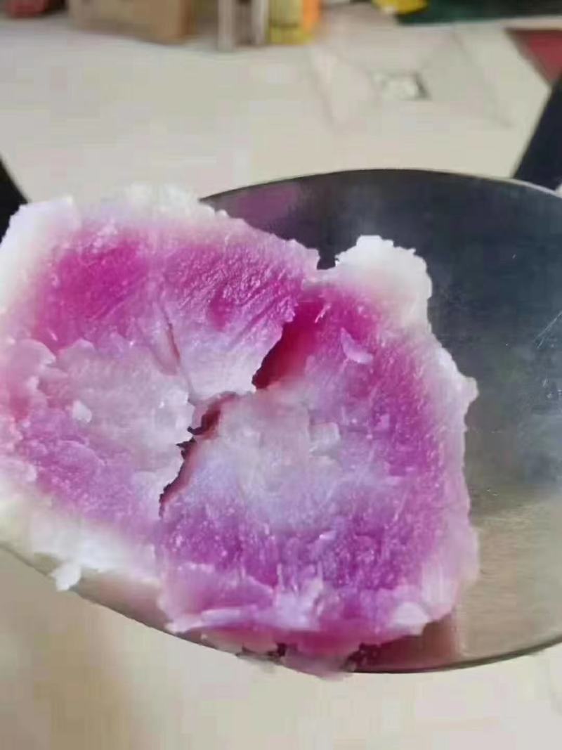商薯19.西瓜红，龙九，哈蜜红薯，澳洲紫白，紫薯