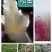 商薯19.西瓜红，龙九，哈蜜红薯，澳洲紫白，紫薯