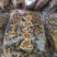 五连包小麻花，山药南瓜酥条，工厂一手货源