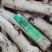 白芍个子出售，各种规格都有，无硫烘干，产地直销，无狗眼