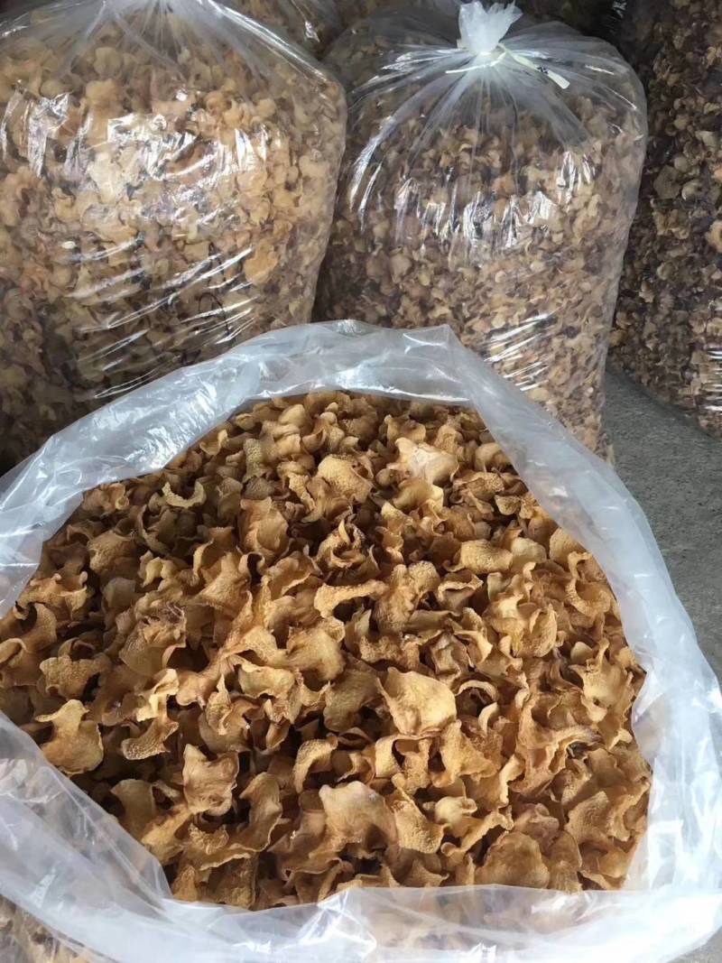羊肚耳沙耳珍珠菌干货羊肚菌菇鲜货竹耳菌足干羊肚耳基地货源
