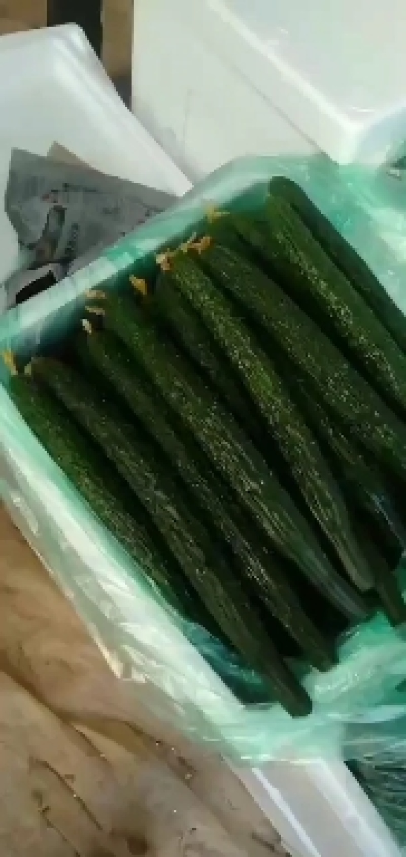 精品密刺黄瓜，优质货源