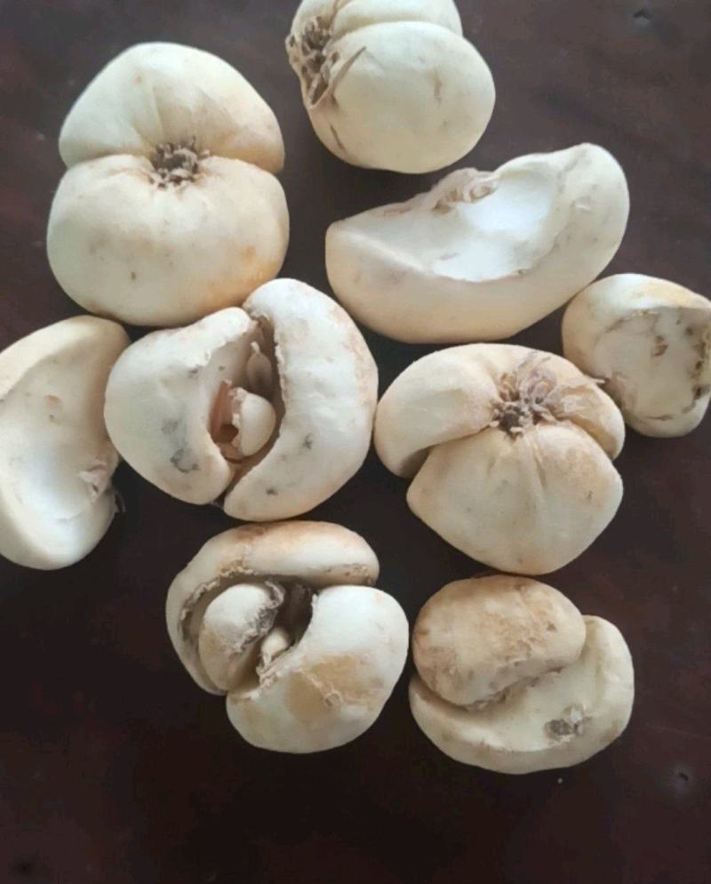 贝母贝母片中药材批发贝母产地直销质量保证
