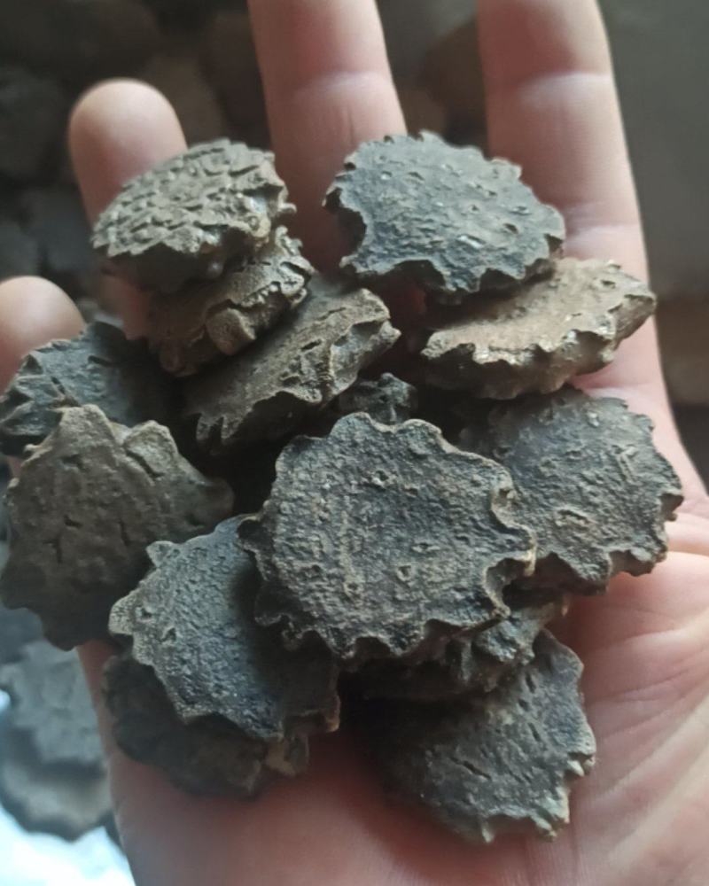 木鳖子中药材批发木鳖子产地直销质量保证