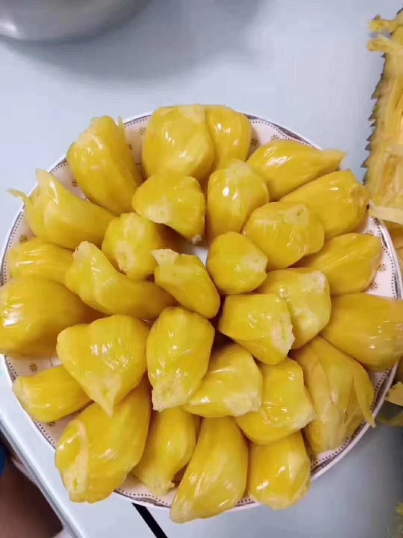 大量供应海南菠萝蜜，果地直供，价格有优势好^_^