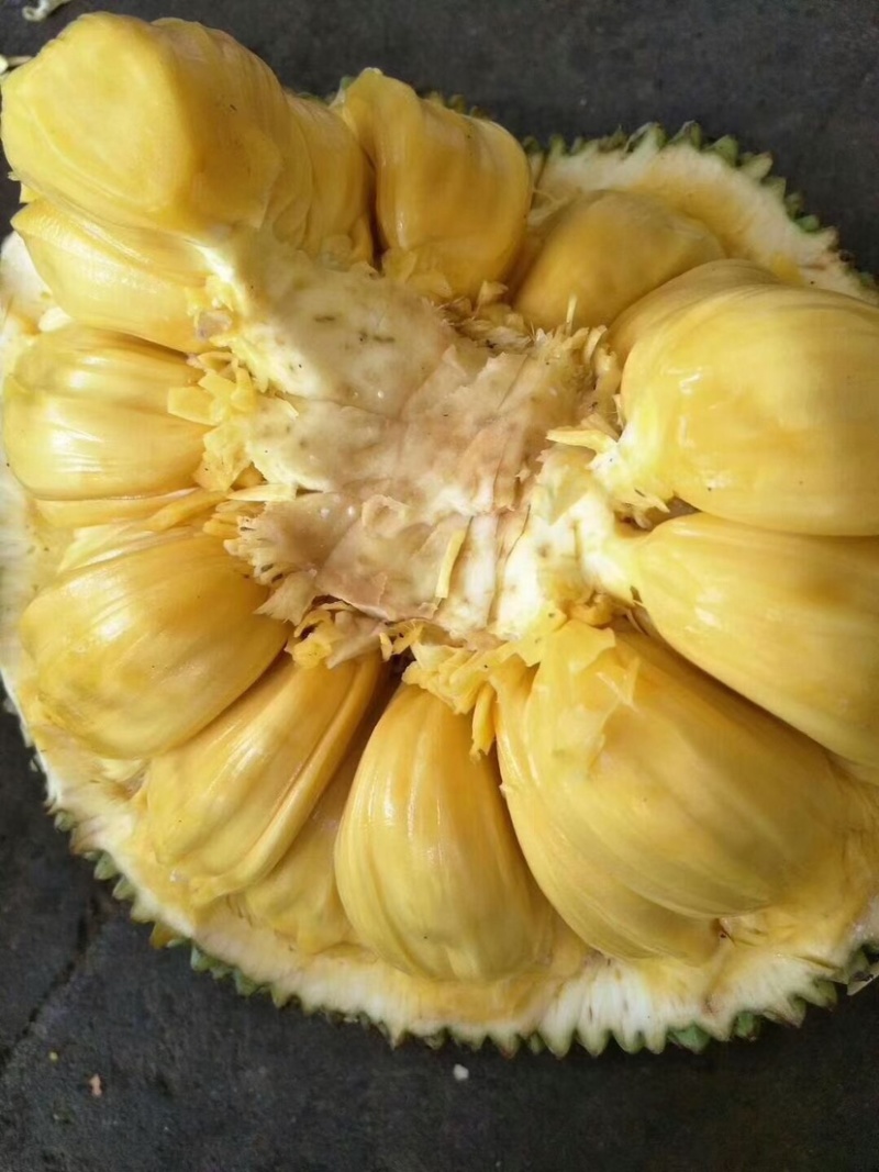 大量供应海南菠萝蜜，果地直供，价格有优势好^_^