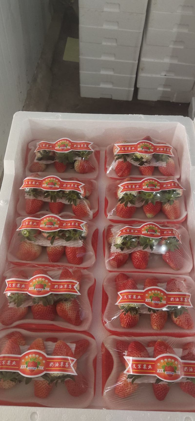 天仙醉草莓大量供应
