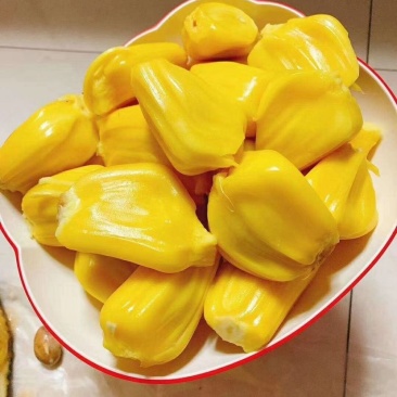 大量供应海南菠萝蜜，果地直供，价格有优势好^_^