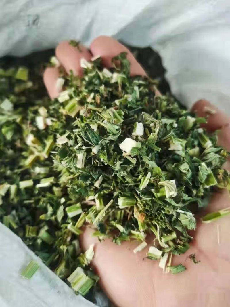 益母草产地直供可搭配多品种采购大货联系客服