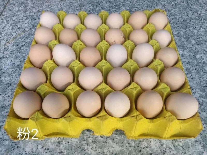 绿壳土鸡蛋散养乌鸡蛋散养土鸡蛋原场直发量大价更优