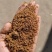生物发酵饲料益生菌，改善肠道，提高吸收微生物发酵饲料