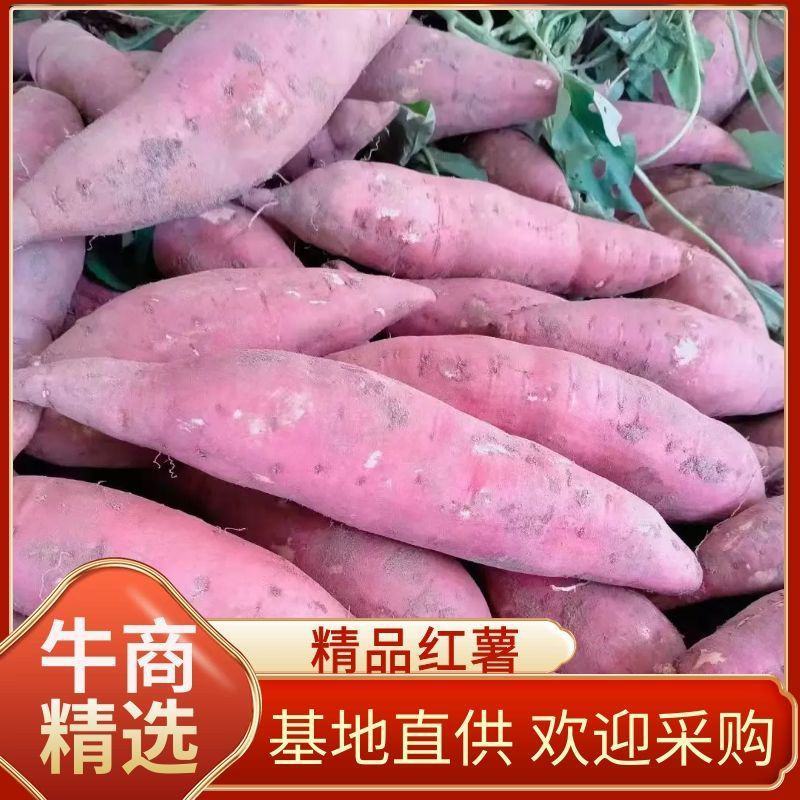 红薯西瓜红蜜薯，一手货源，产地直发，口感软糯香甜，量大