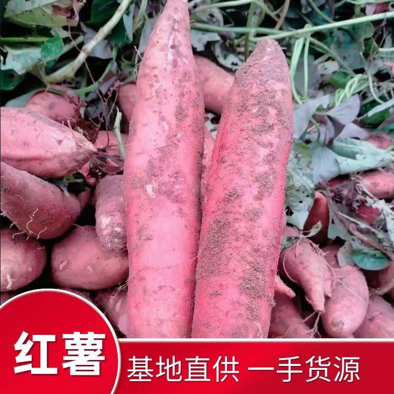 红薯西瓜红蜜薯，一手货源，产地直发，口感软糯香甜，量大