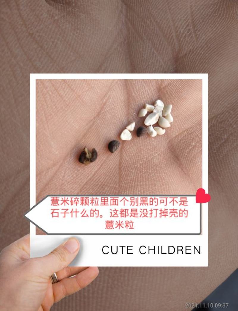 薏米仁碎颗粒新货产地货源整件批发承接大货量大从优