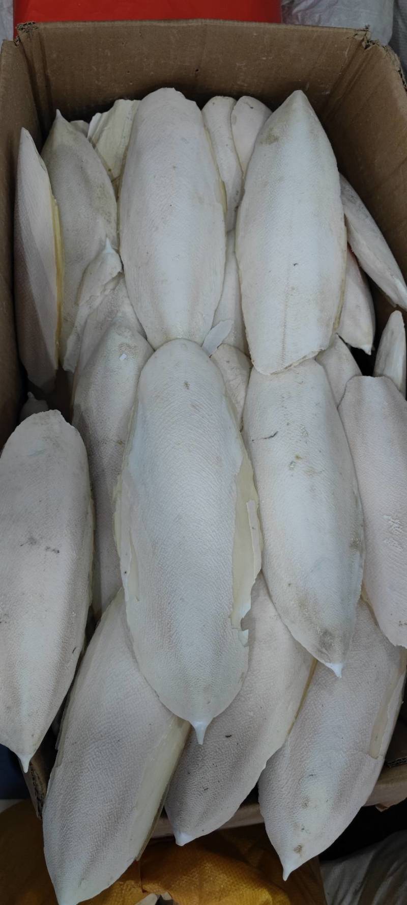 海螵硝新货乌贼骨各种规格和价格各种中药材