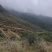广西高山种出来的木薯，定粉很高