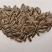 精品葵花籽，内蒙古五原县葵花产地新品上市