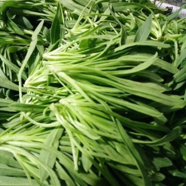 面条菜**市场，超市，工厂，酒店等