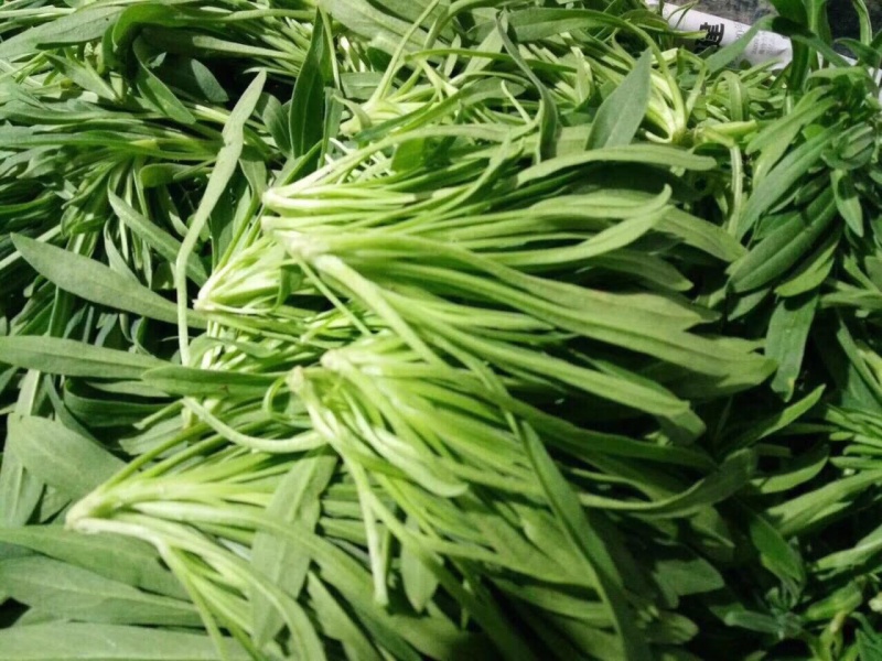 面条菜**市场，超市，工厂，酒店等
