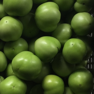 绿番茄，绿柿子基地出货淄博绿番茄专做特菜野菜