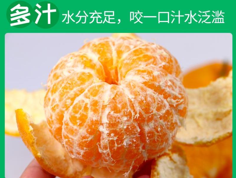 四川耙耙柑春见一件代发眉山耙耙柑产地仓库批发电商包邮
