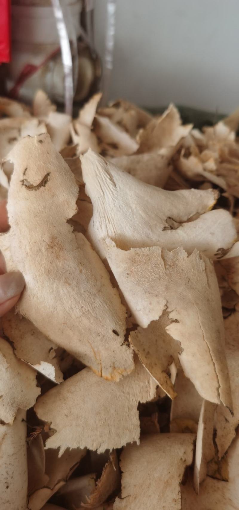 粉质薄片土太萆薢优质货源质量保证一手产地货源
