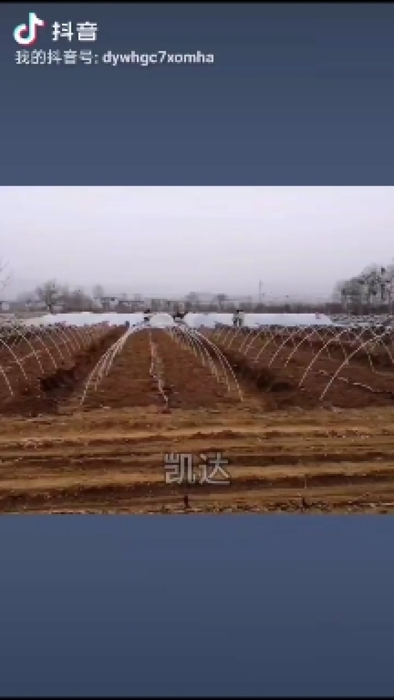 防冻小拱棚杆，玻璃纤维拱棚杆，二棚杆，花卉定值杆