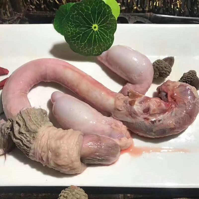 梅花鹿发情期大龄公鹿干鲜鹿鞭，货源充足量大优惠。