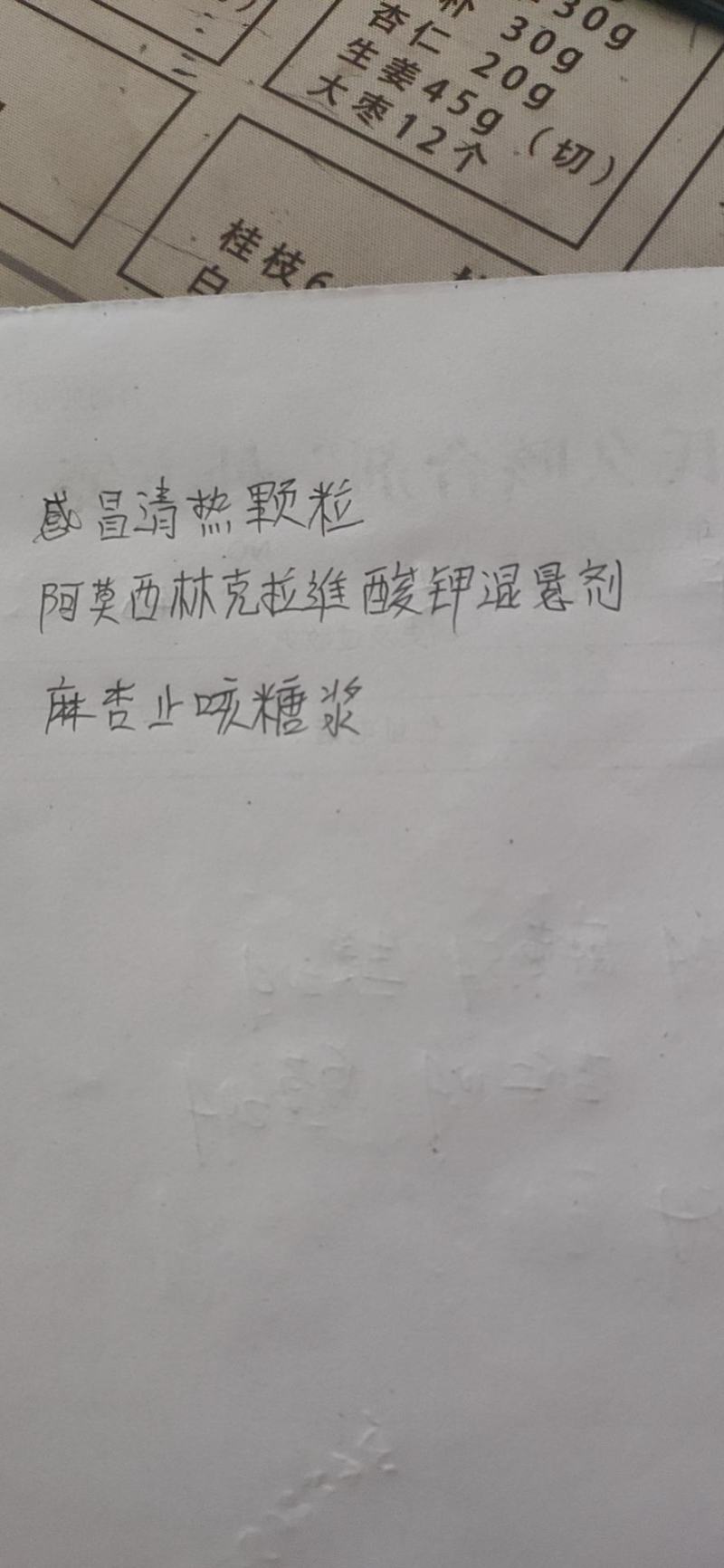 棒棒青，圆根甜萝卜