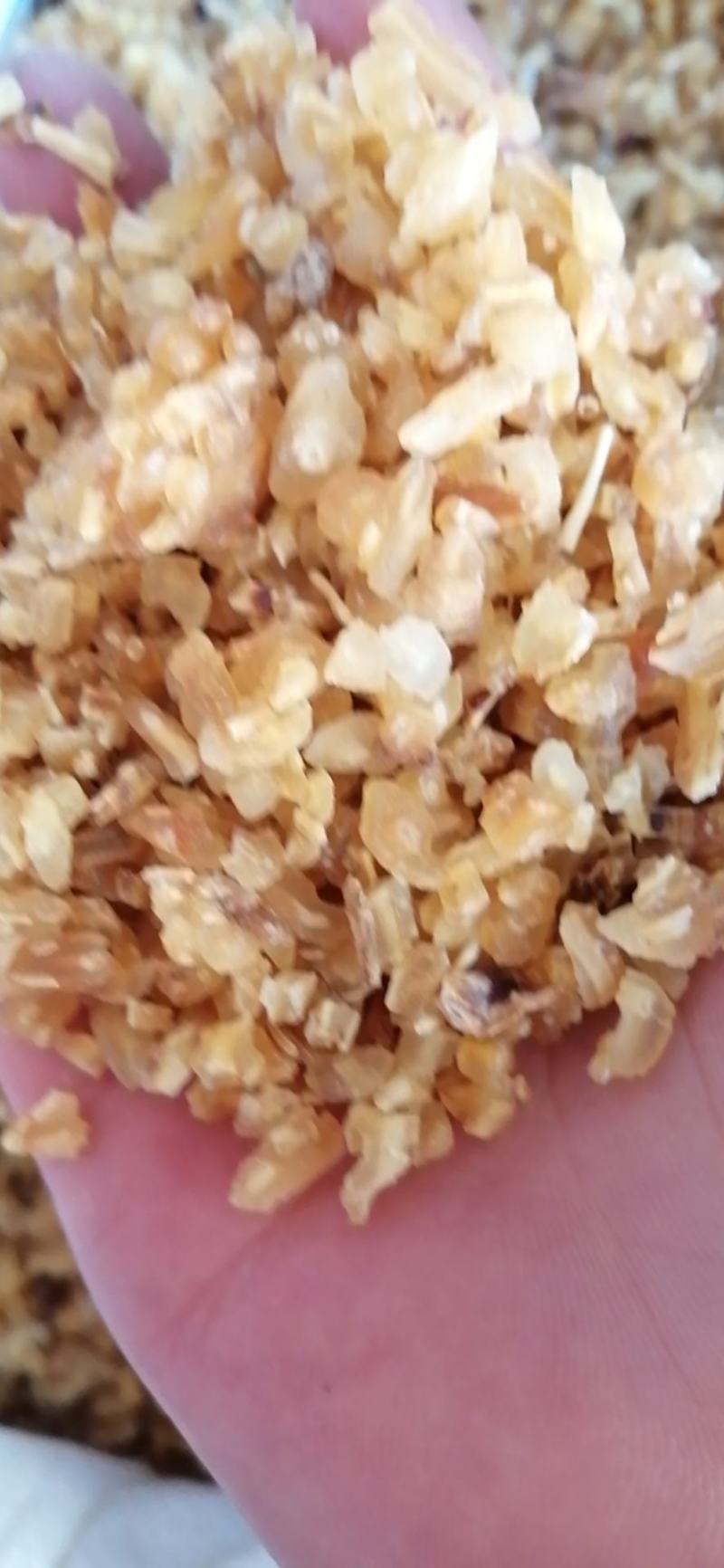 天冬中药材天冬各种规格无硫无添加经营各种规格中药材批发零