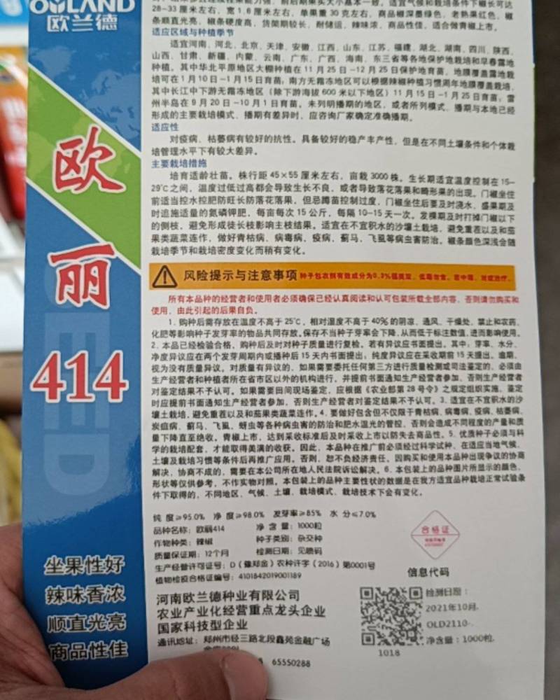 黑线椒种子欧丽414抗病强果长30公分高产高效，