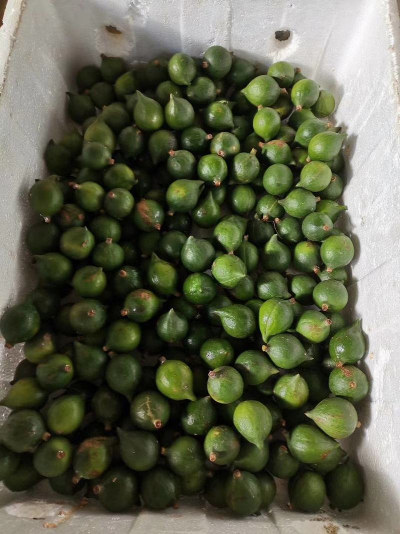 云南农家特产新货夏威夷果澳洲坚果开口原味孕妇坚果零食