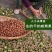 云南农家特产新货夏威夷果澳洲坚果开口原味孕妇坚果零食