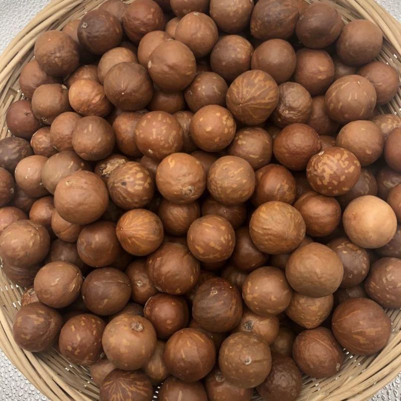 云南农家特产新货夏威夷果澳洲坚果开口原味孕妇坚果零食