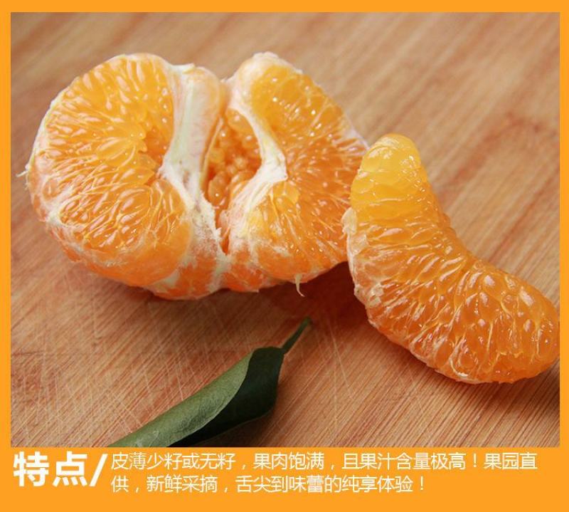 四川春见耙耙柑橘子柑橘现摘新鲜水果专业代办代发