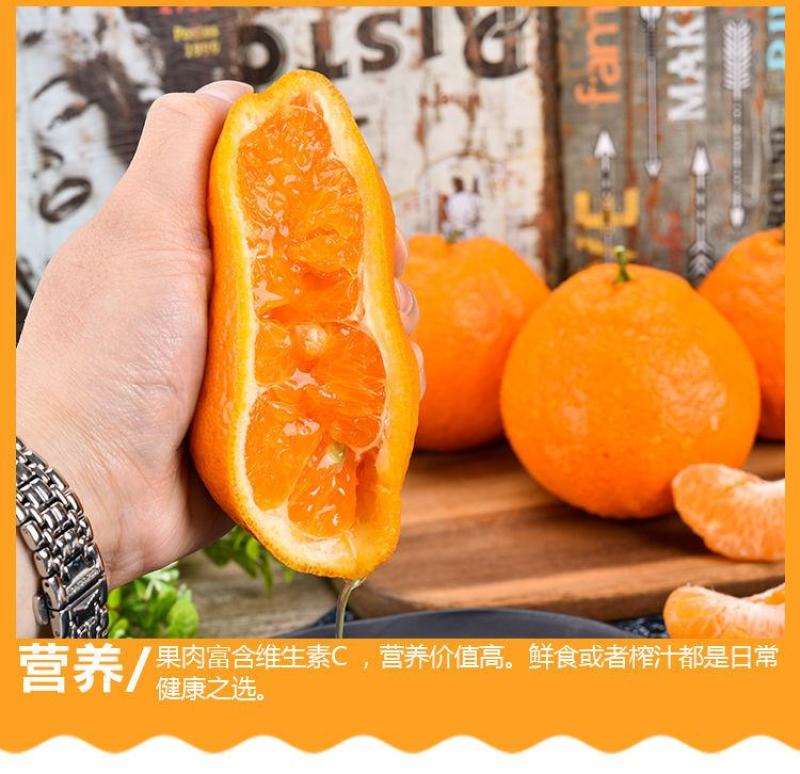 四川春见耙耙柑橘子柑橘现摘新鲜水果专业代办代发