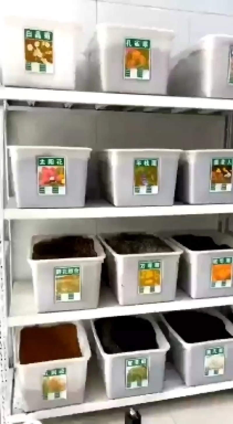 高产进口四倍体黑麦草种子牧草牛羊猪鸡鸭鹅等家禽家畜牧草