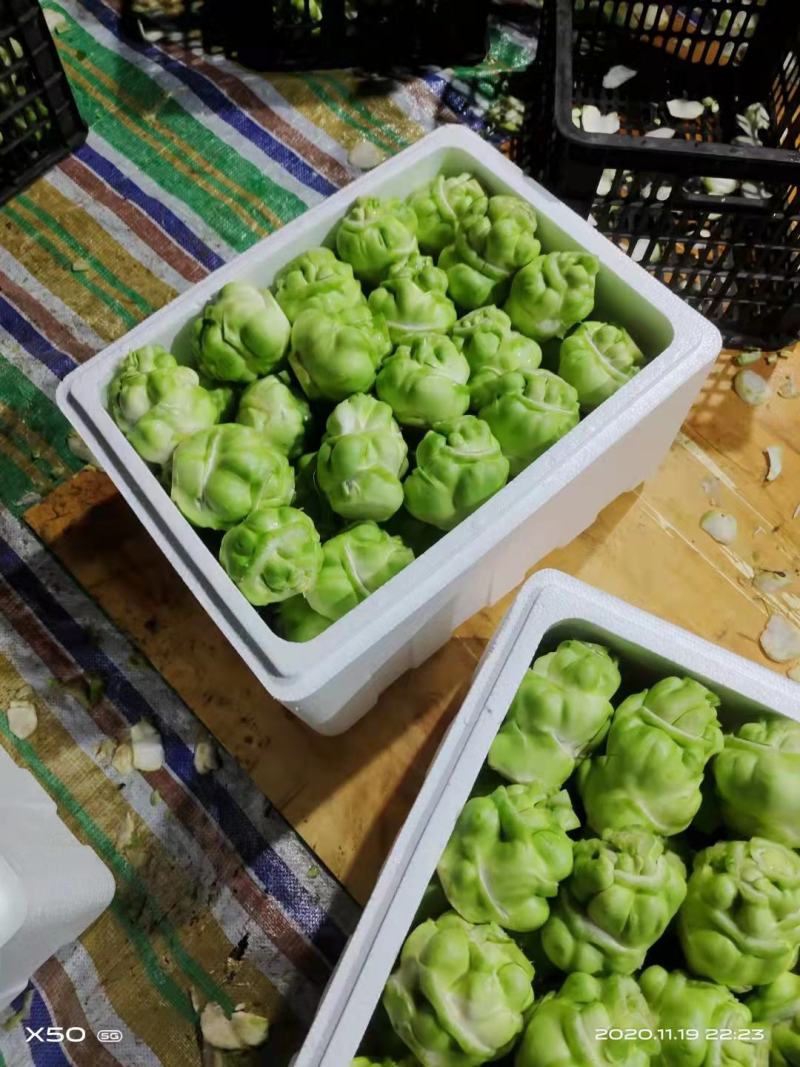 四川榨菜大量有货，物美价廉有需要的老板来联系