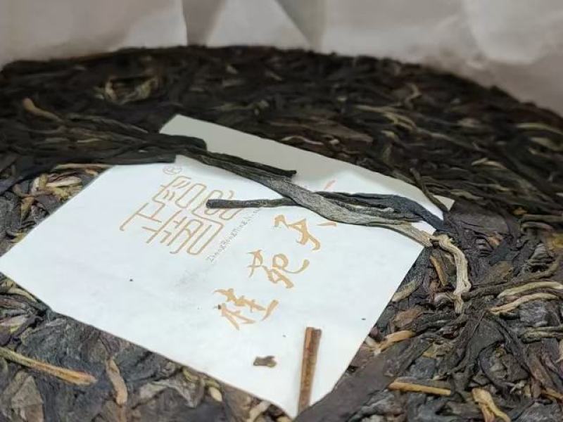 2021年正容茶业【桂苑天香】易武早春生茶