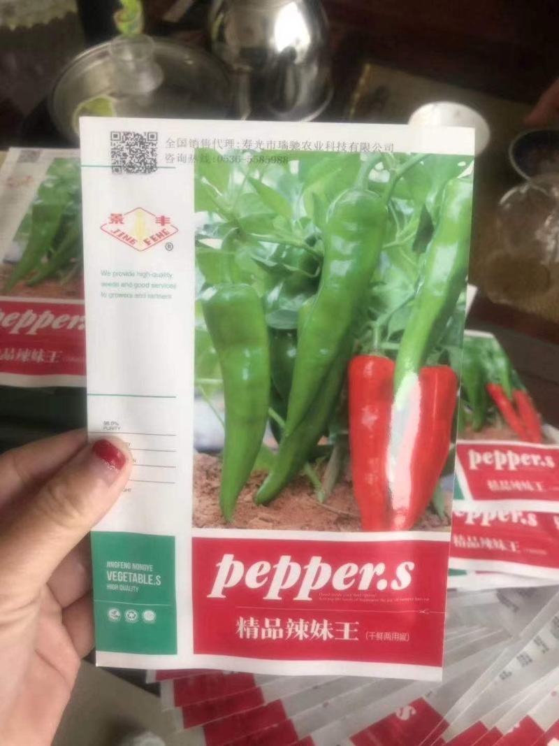 进口辣妹子辣椒苗薄皮大辣椒苗韩国辣妹王易成活
